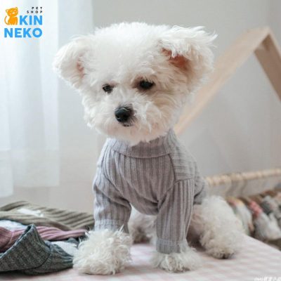 áo len cổ lọ hình gấu cho chó mèo