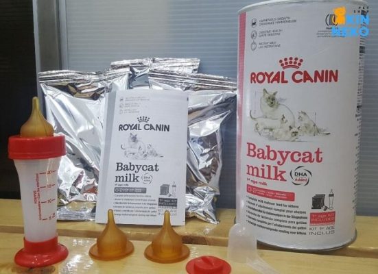 babycat milk royal canin