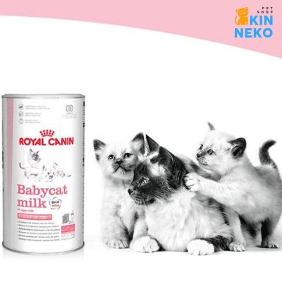 babycat milk royal canin instructions