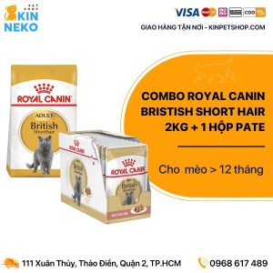 Combo Thức ăn cho mèo Anh Lông Ngắn Royal Canin Adult 2kg + 1 hộp pate Royal Canin British Short hair