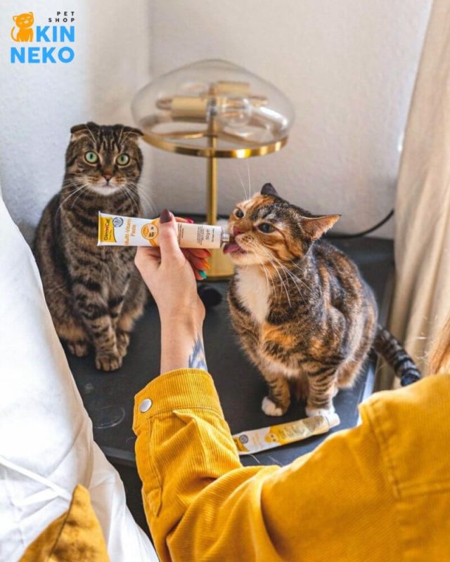 gel dinh dưỡng gimcat cho mọi đối tượng mèo