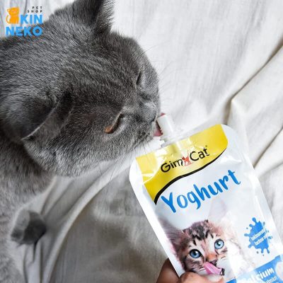 gimcat yogurt