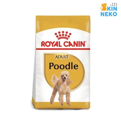hạt chó cho poodle trưởng thành royal canin
