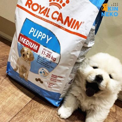 hạt royal canin medium puppy 10kg
