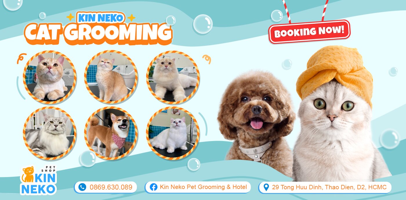 kin neko cat grooming