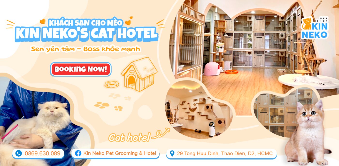 kin neko cat hotel