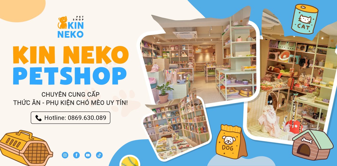 kin neko petshop