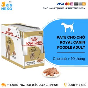 pate chó royal canin poodle adult