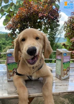 pet own dog & puppy milk with glucosamine