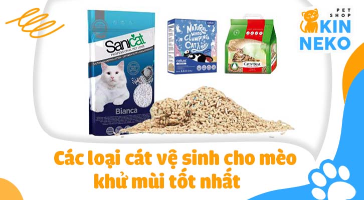 cát vệ sinh cho mèo
