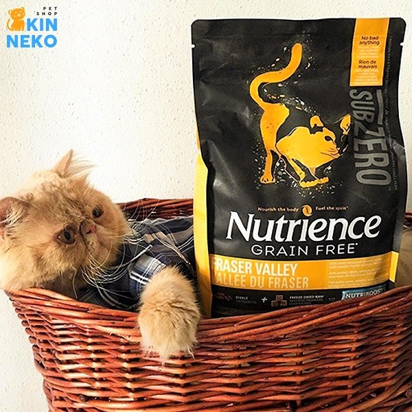 review hạt nutrience cho mèo