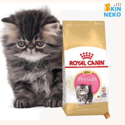 royal canin kitten persian