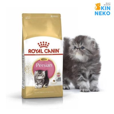 royal canin persian kitten