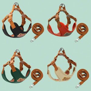 set yếm kèm dây dắt hình gấu nâu