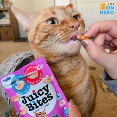 snack bánh thưởng inaba juicy bites cho mèo giá rẻ