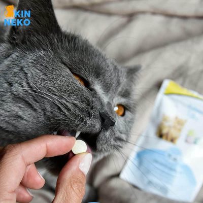 snack cho mèo con gimcat kitten tabs