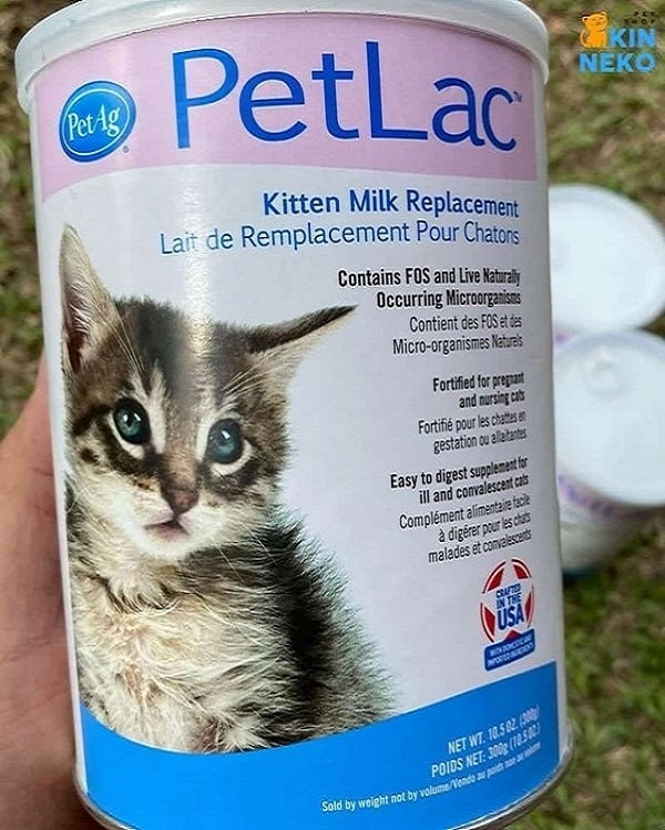 sữa bột cho mèo con