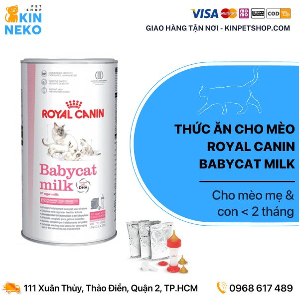 sữa cho mèo con royal canin babycat milk
