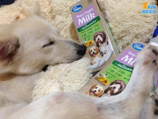 sữa tươi bổ sung glucosamine cho cún pets own úc
