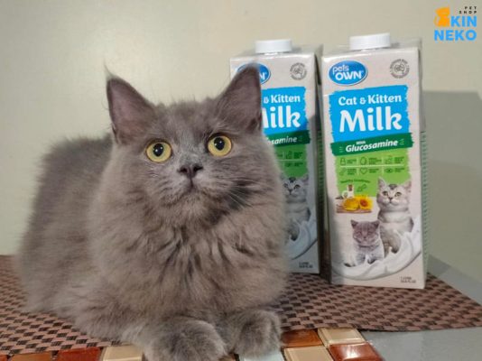 sữa tươi bổ sung glucosamine cho mèo pets own