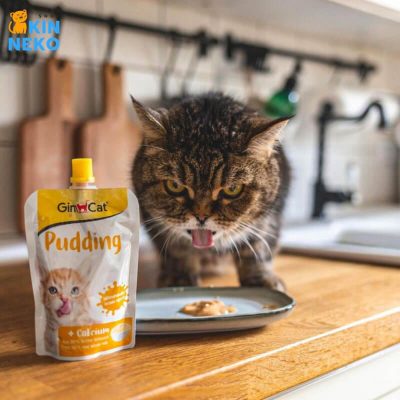 thạch pudding cho mèo gimcat