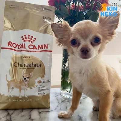 thức ăn cho chó royal canin chihuahua adult
