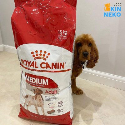 thức ăn cho chó royal canin medium adult