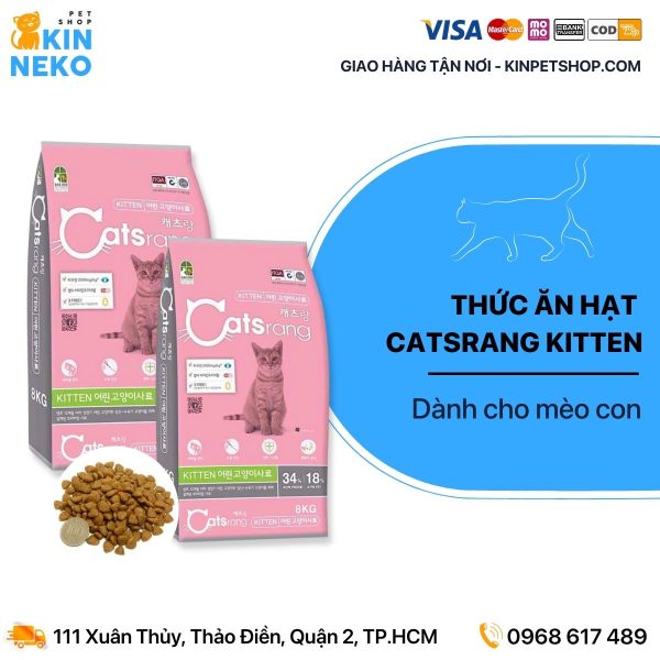 thức ăn hạt cho mèo con catsrang kitten