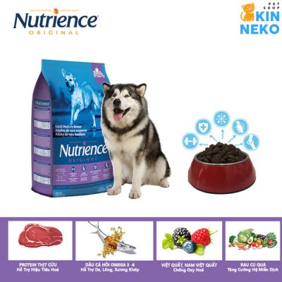 thức ăn hạt dinh dưỡng cho chó kích thước lớn nutrience original