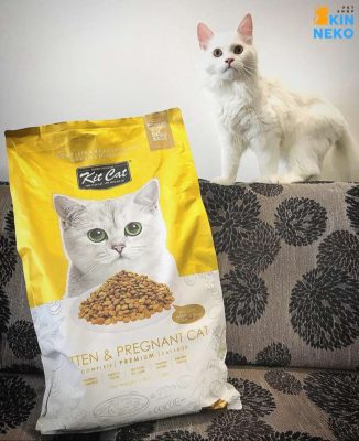 thức ăn hạt kit cat kitten & pregnant cat