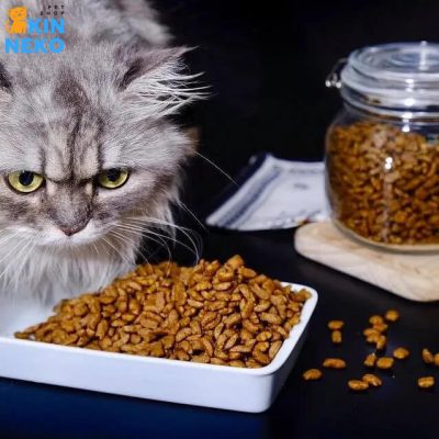 thức ăn mèo hàn quốc hạt cat's eye