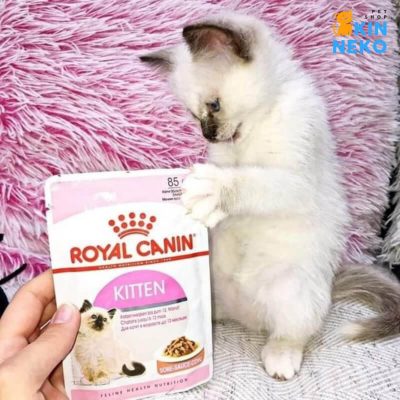 thức ăn pate cho mèo royal canin kitten loaf 85g