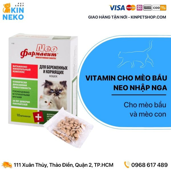 vitamin b cho mèo